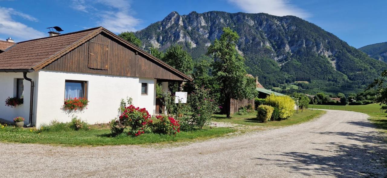 Leo-Hof Appartement Hirschwang Buitenkant foto